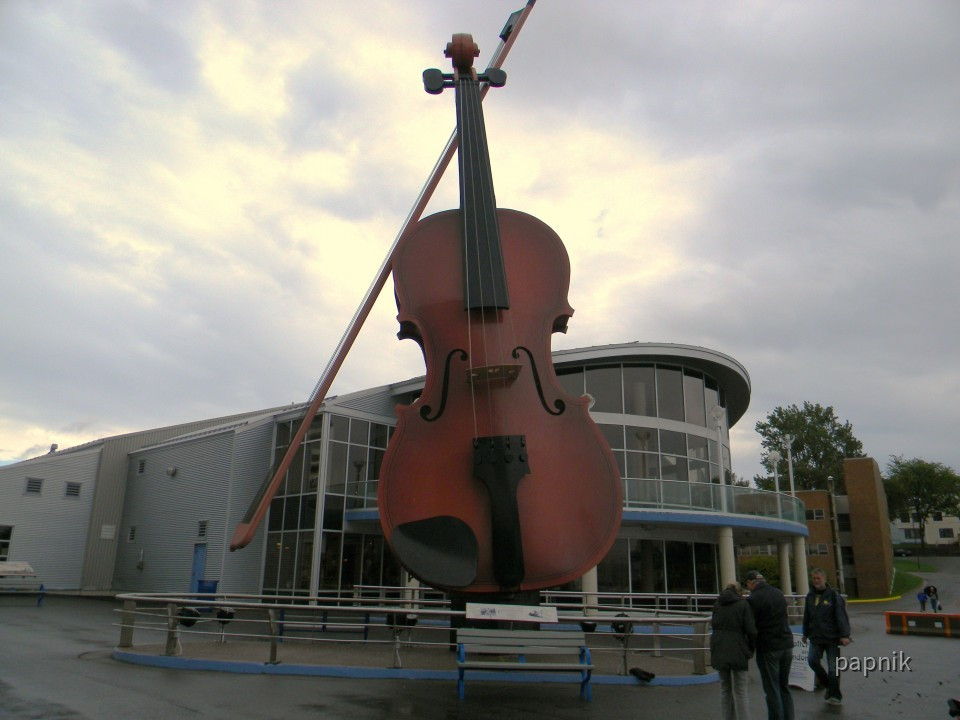 Violine