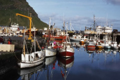 Vestmannaeyjar: Insel Heimaey, Hafen