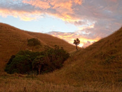Kaikoura