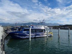 Kaikoura