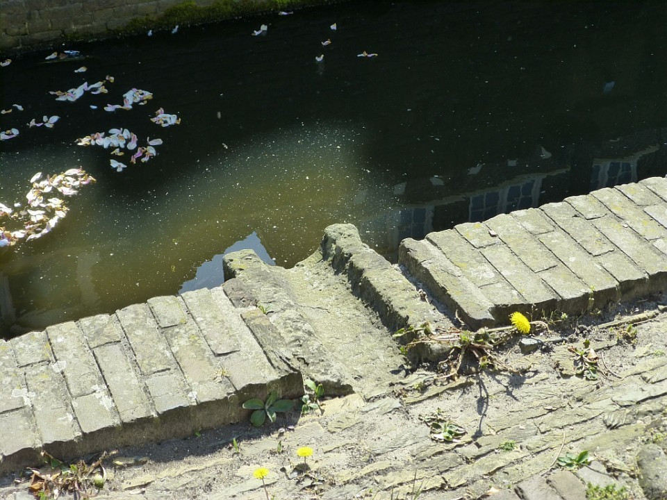 ?random=155981273&maxWidth=0&embedded=0&thumbnail=medium