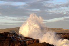 Curio Bay