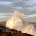 Curio Bay