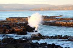 Curio Bay