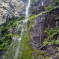 Milford Sound