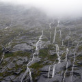 Milford sound
