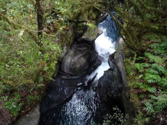 Milford sound