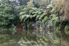 Lake Paringa