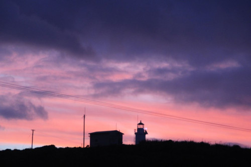 Cape Foulwind