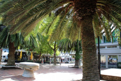 Nelson