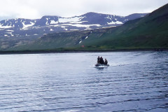 Nordwesten: Hornbjarg, mit dem Schlauchboot  nach Hornstrandir