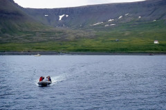 Nordwesten: Hornbjarg, Ausbooten zum Hornstrandir