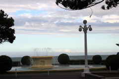 Napier