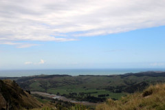 Napier