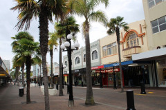 Napier