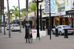 Napier