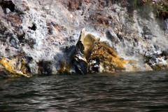 Orakei