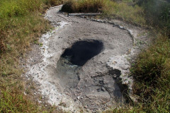 Rotorua