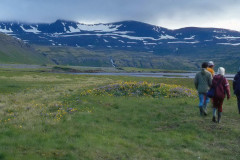 Nordwesten: Hornbjarg, Wanderung