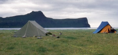 Nordwesten: Hornstrandir,  Zeltplatz