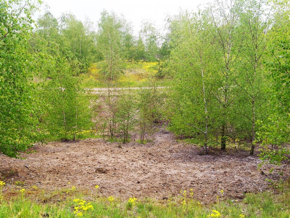 20 Lappwaldsee