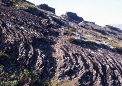 Südwesten: Schnurlava