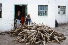 Norden: Insel Grimsey, Trockenfisch