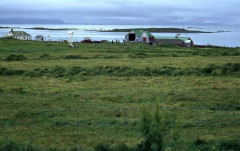 Norden: Insel Grimsey am Polarkreis