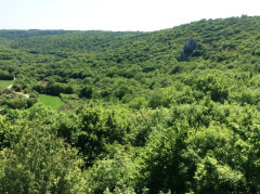 Kanfanar und Dvigrad
