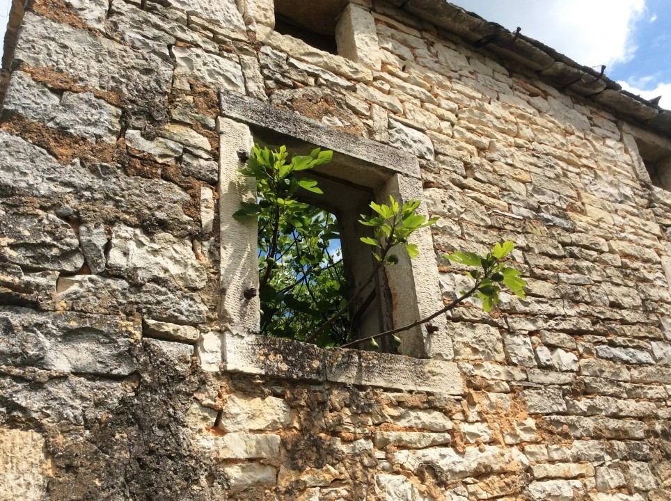 Svetvinčenat