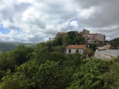 Plomin