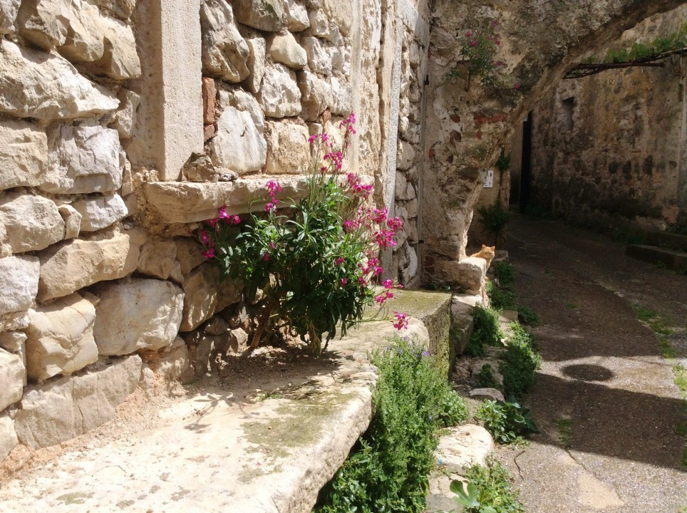 Plomin