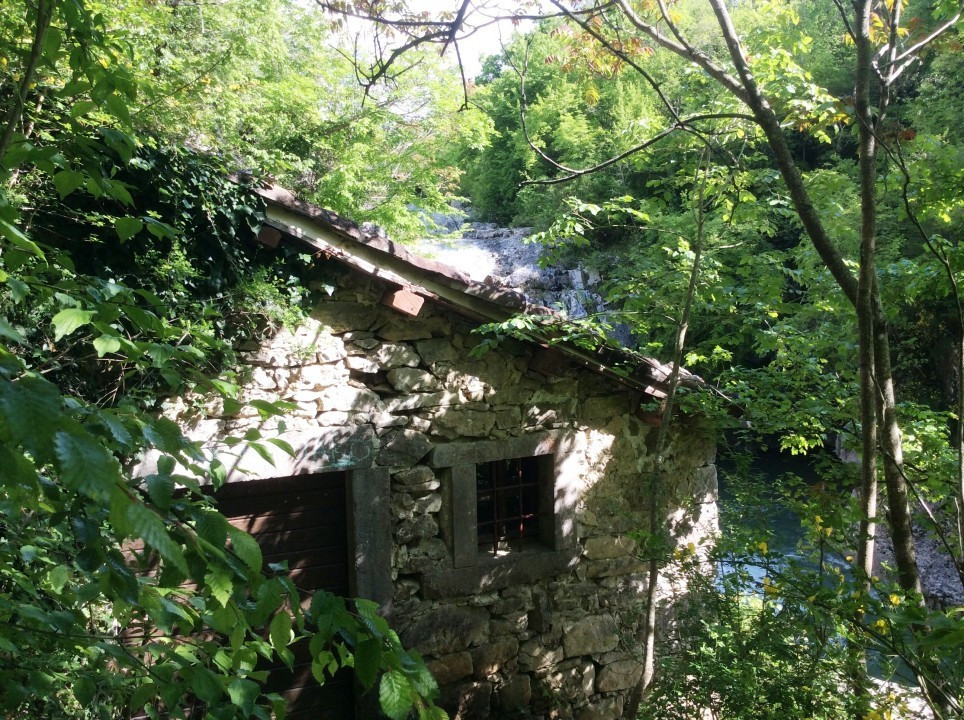 Kotli