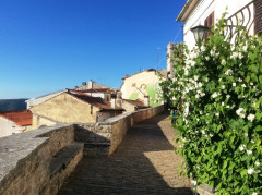 Motovun