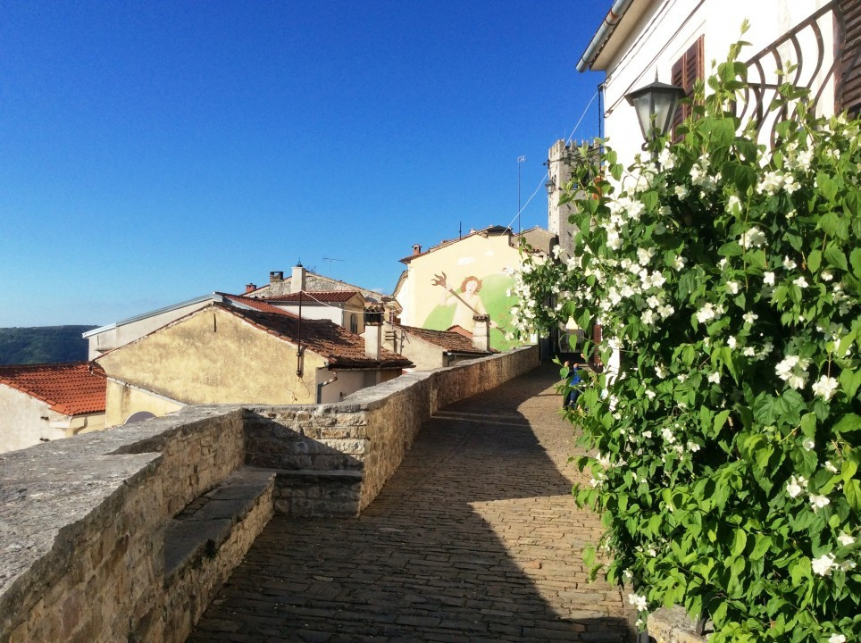 Motovun