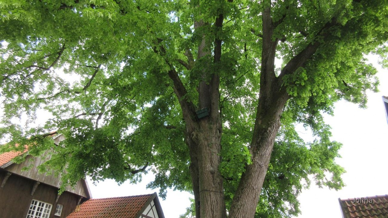 Tecklenburg_09