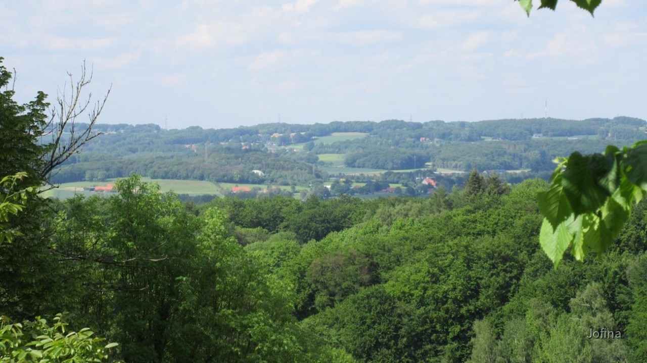 Tecklenburg_31