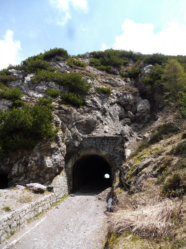 ?random=0&maxWidth=0&embedded=0&thumbnail=large