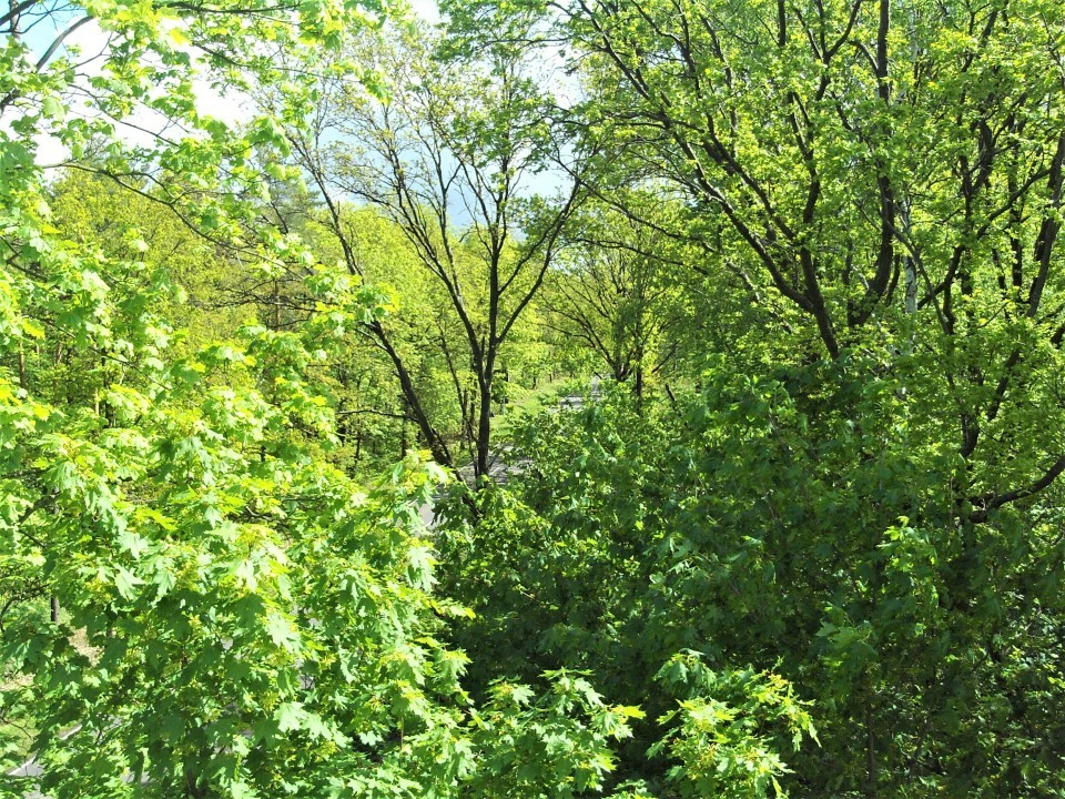 07 Magdeburger Warte Helmstedt Aussicht