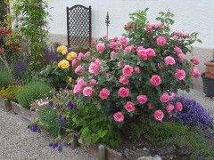 Sommer