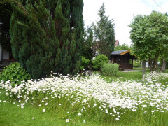 Sommer