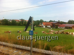 Jakobsweg