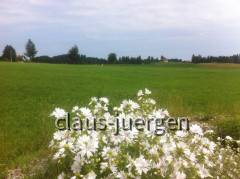 Jakobsweg