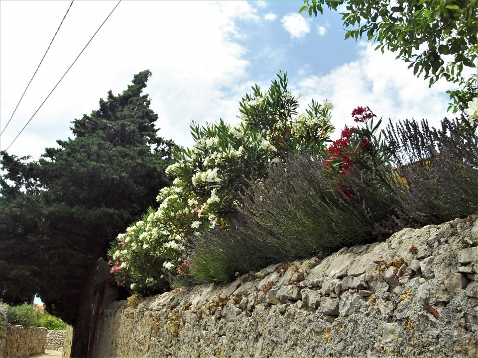 29a Cres Stadt