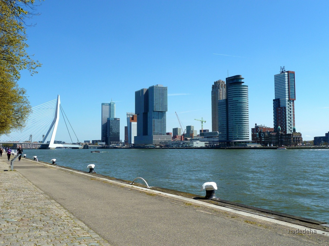 Rotterdam - Blick auf "Kop van Zuid" und Erasmusbrücke