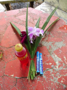 Klong Son Tempelzeremonie Buddha Day