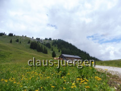 Schönkahler