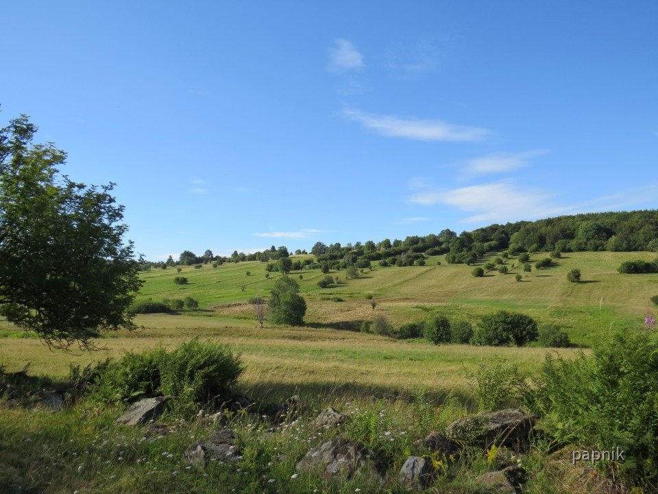 Aussichtspunkt Kohlwiesen
