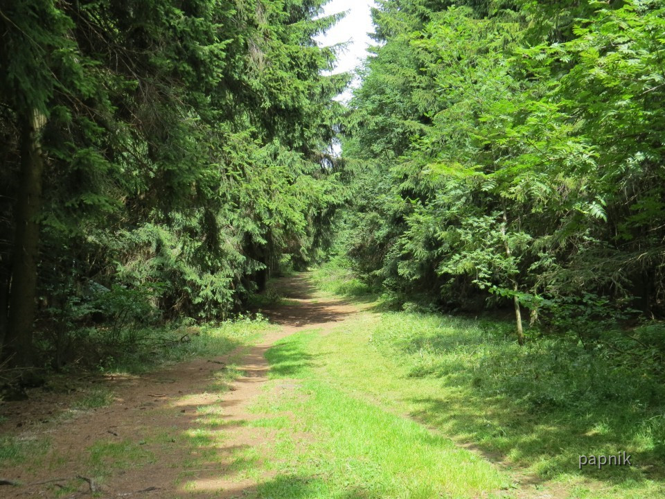 Schattenweg