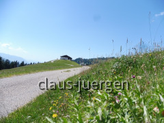 Alpe Spicher Halde